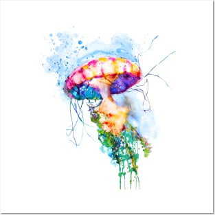 Colorful Watercolor Jellyfish Posters and Art